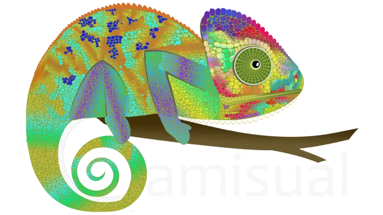 Camisual
