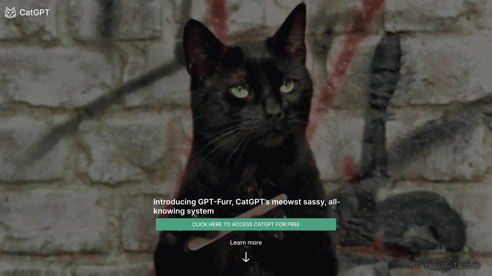 CatGPT