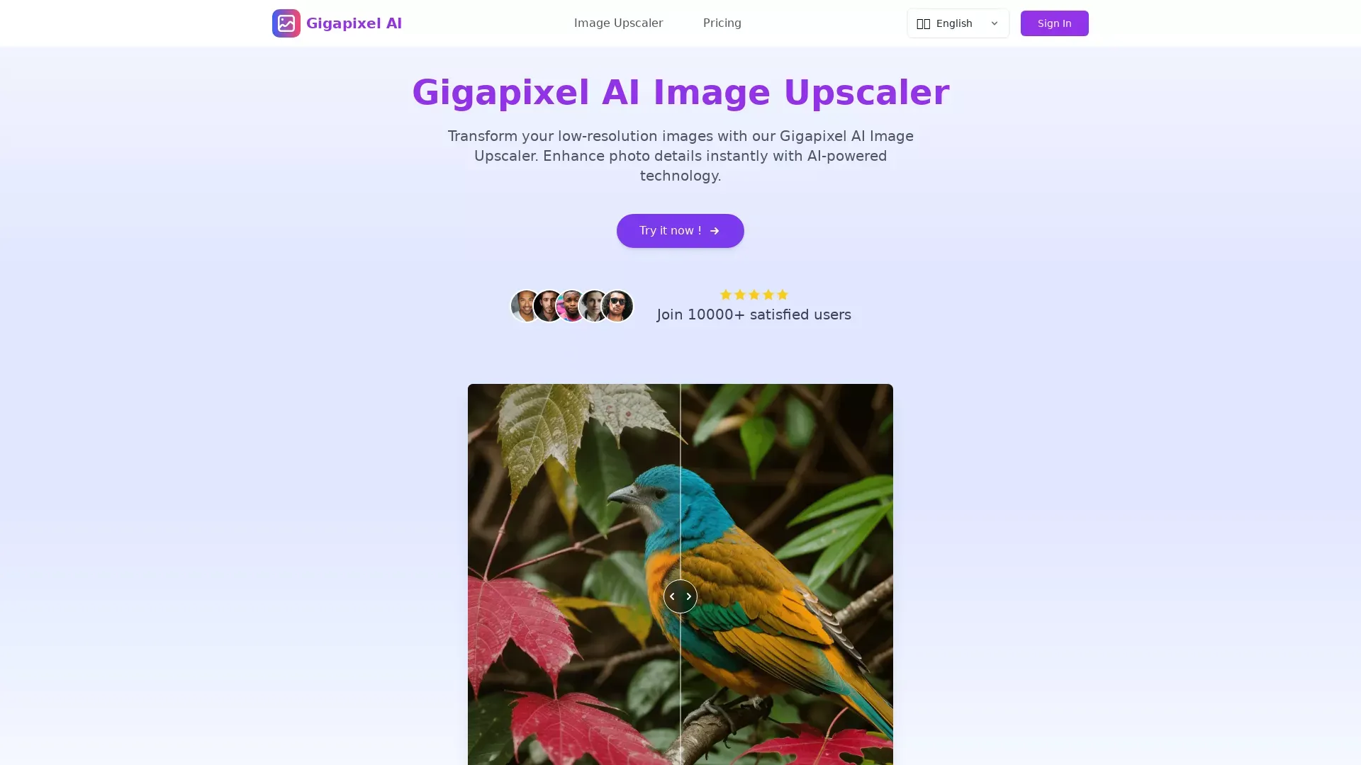 Gigapixel AI