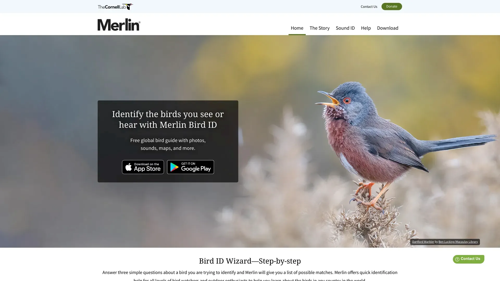Merlin