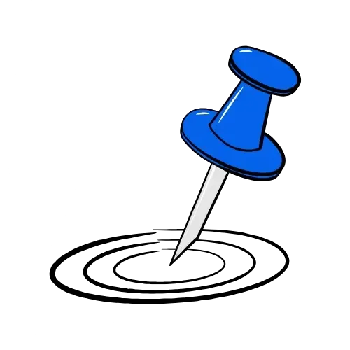Needle